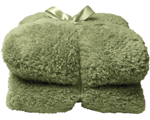 Pătură Teddy verde 150x200 cm Pătură moale împăturită cu fundă