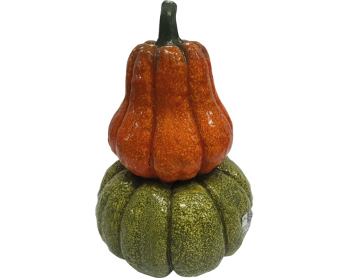 Combinație decorativă de dovleci din doi dovleci