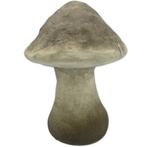 Ciupercă decorativă pentru grădină