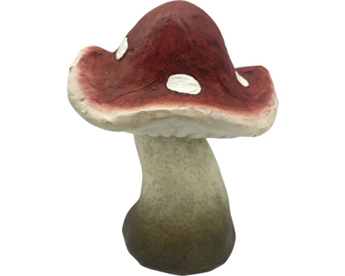 Ciupercă decorativă pentru grădină