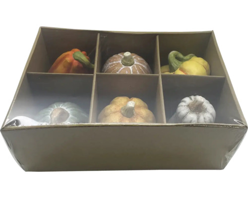Dovleci decorativi la set de șase într-o cutie de carton