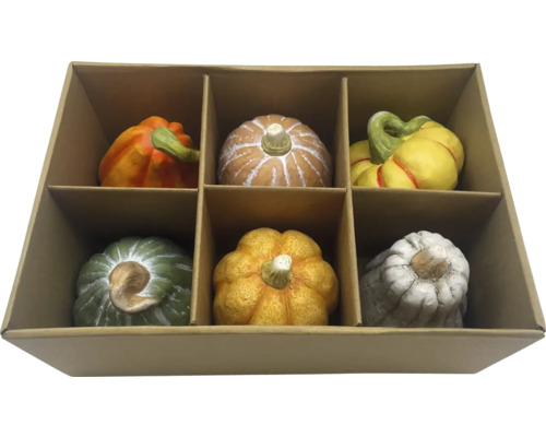 Dovleci decorativi în diferite culori în cutie de carton