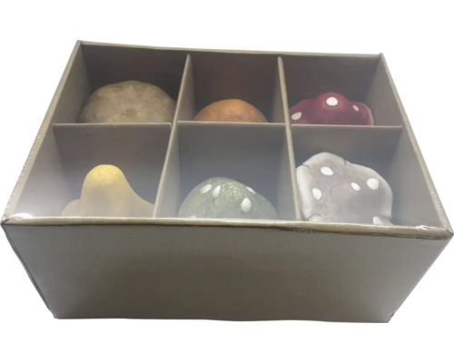 Ciuperci decorative în cutie de carton