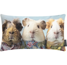 Pernă decorativă cu motiv de porcușori de Guineea în cămașă