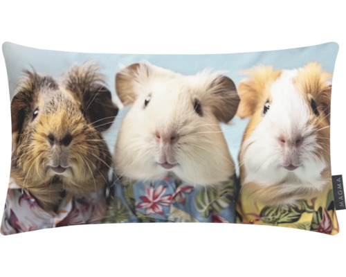 Pernă decorativă cu motiv de porcușori de Guineea în cămașă