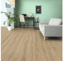 Cameră de zi cu podea din lemn maro deschis, canapea, birou și plantă de interior