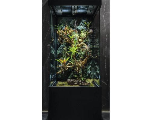 Terariu decorativ pentru plante cu diverse plante și rădăcini de lemn în fața unui perete stâncos. Terariu decorativ pentru plante cu diverse plante și rădăcini de lemn în fața unui perete stâncos.