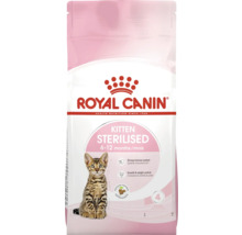 Hrană pentru pisoi sterilizați Royal Canin cu vârsta cuprinsă între 6 și 12 luni