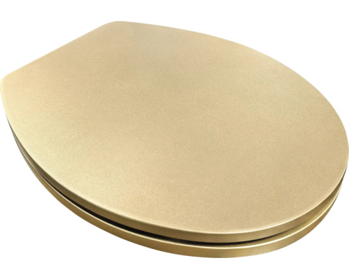 Capac WC din plastic