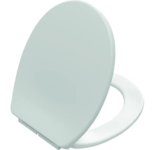 Capac de toaletă din plastic