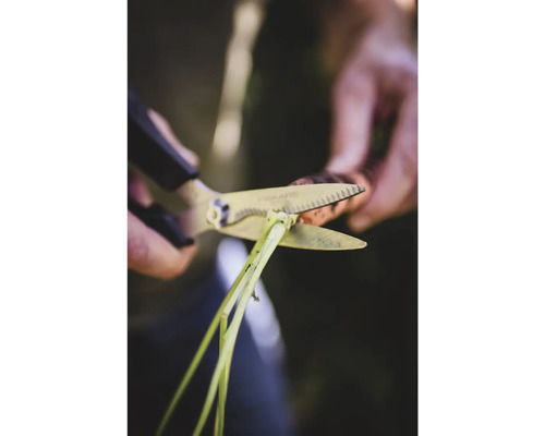 Persoană tăind o plantă cu foarfeca de grădină