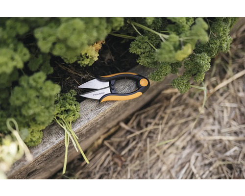 Foarfece pentru ierburi aromatice Fiskars lângă pătrunjel proaspăt pe o scândură de lemn