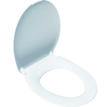 Capac de toaletă din plastic