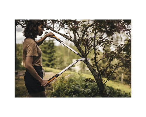 Femeie taie un copac cu o foarfecă de crengi cu pârghie