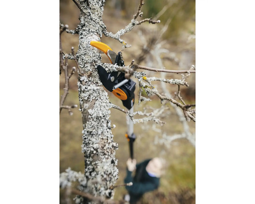 Foarfecă de crengi în acțiune la tăierea unui copac