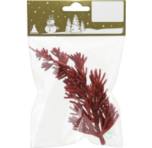 Ramură decorativă în pungă