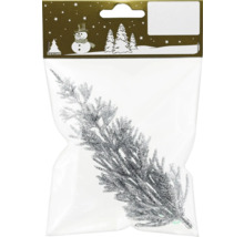 Ramură de brad sclipitoare în ambalaj ca decorațiune de Crăciun