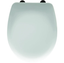 Capac de toaletă din ceramică sanitară