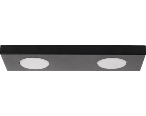 Plafonieră Hero G53 max. 2x12W, negru/metal