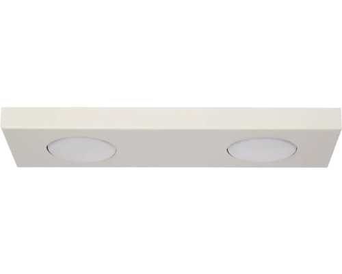 Plafonieră Hero G53 max. 2x12W, gri/metal