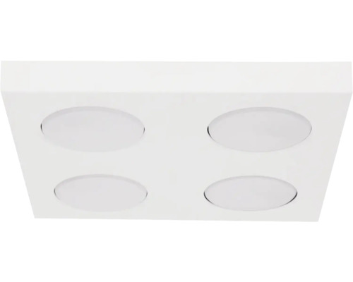 Plafonieră Hero G53 max. 4x12W, alb/metal
