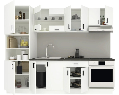 Unitate de bucătărie completă cu chiuvetă, plită și cuptor în design deschis, cu dulapuri deschise.