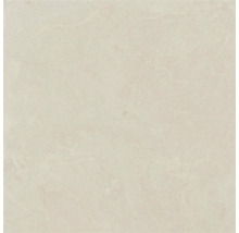 Model de faianță pentru interior