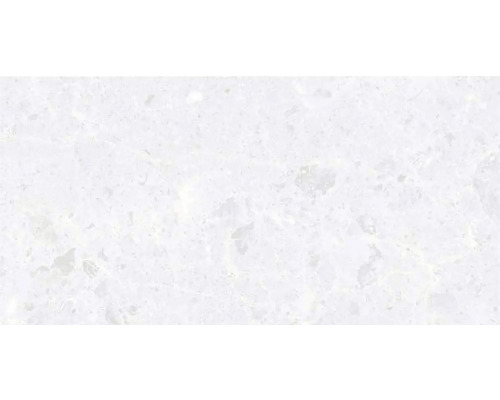 Faianță baie / bucătărie rectificată 4613 Light 30x60 cm Placă de piatră de cuarț cu marmorare fină