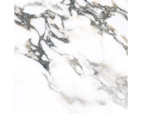 Prim-plan cu o placă de marmură albă cu vinișoare gri.