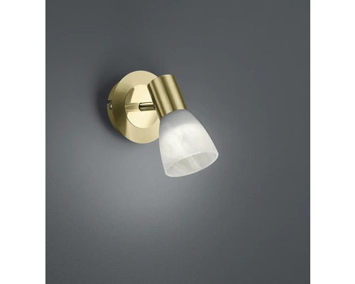 Spot aplicat Levisto E14 max. 4,9W, bec LED inclus 470 lumeni, sticlă/auriu