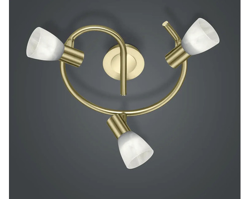 Plafonieră cu spoturi Levisto E14 max. 3x4,9W, becuri LED incluse 3x470 lumeni, sticlă/auriu