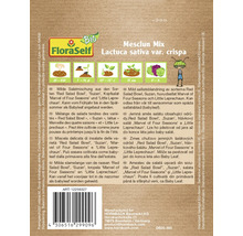 Pachet semințe salată FloraSelf Mesclun Mix