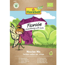 FloraSelf Floralie Mix de salată Mesclun pentru copii