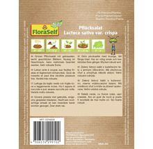 Pachet semințe FloraSelf Salată verde Lactuca sativa var crispa
