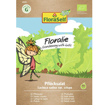 Pachet de semințe de salată de tăiat FloraSelf Floralie
