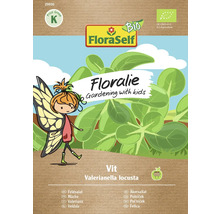 Pachet semințe salată verde de câmp FloraSelf