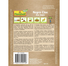 Pachet semințe Negro Cine Zea mays