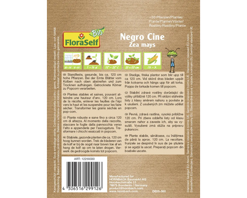 Pachet semințe Negro Cine Zea mays
