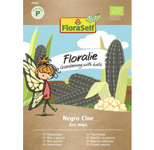 Pachet de semințe de porumb FloraSelf Floralie Negro Cine pentru floricele