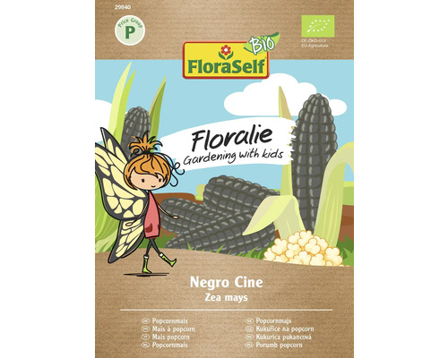 Pachet de semințe de porumb FloraSelf Floralie Negro Cine pentru floricele