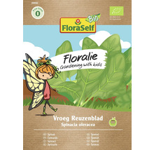 FloraSelf Floralie semințe de grădină pentru copii, spanac