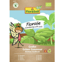 Pachet de semințe de busuioc FloraSelf Floralie Großer Grüner Genoveser