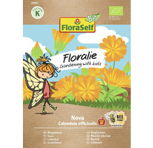 Floraself Floralie Gălbenele Nova pachet de semințe