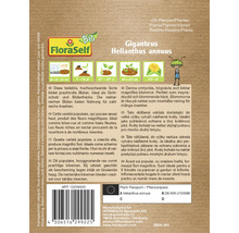 Ambalaj semințe Giganteus Helianthus annuus de la FloraSelf