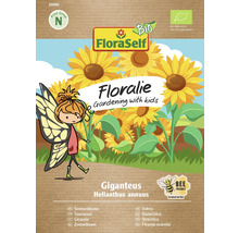 Pachet de semințe de floarea-soarelui FloraSelf Floralie Giganteus