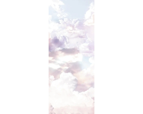 Fototapet vlies 6042A-VD2A Wild Flamingo 200x250 cm