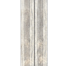 Fototapet vlies 6038A-VD1 Rose Panel 100x250 cm