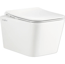 Vas WC suspendat cu spălare profundă din ceramică sanitară