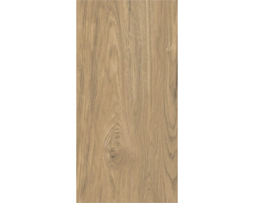 Gresie exterior / interior porțelanată glazurată rectificată Tilia caramel 60x120 cm Placă decorativă cu structură de lemn