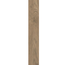 Structura lemnului unei plăci laminate